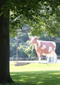 Why yes, that is a giant cow. Lockwood Park, photo by Karin Blaski, July 17, 2013